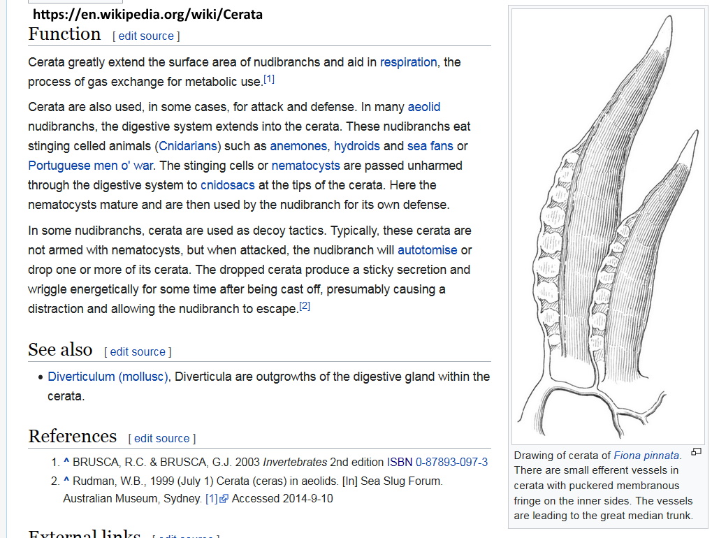 写真 ヘキサゴナル バージョン2 STAEDTLER ステッドラー ヘキサゴナル 限定